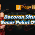 Bocoran Situs Gacor Pakai OVO